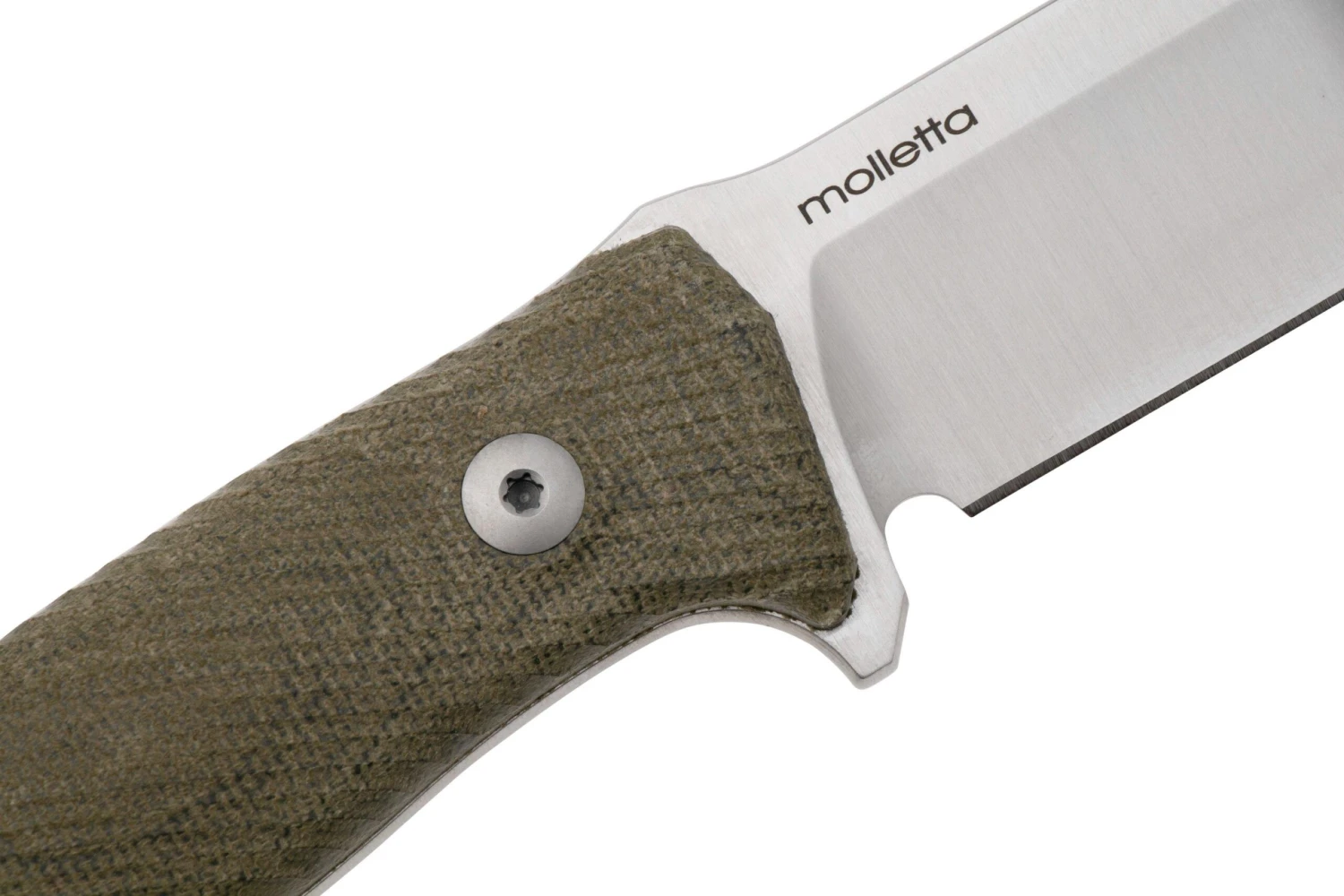 LionSteel M5 Sleipner, Green Canvas Micarta Cuchillo De Supervivencia 5 LionSteel M5 Sleipner, Green Canvas Micarta Cuchillo De Supervivencia - Imagen 5